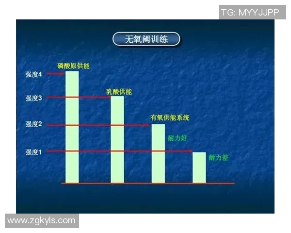 北京羽毛球队挑战赛战术分析与表现评估的深度解读